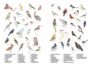 Backyard Birds: An Urban Birdwatching Logbook *Very Good*