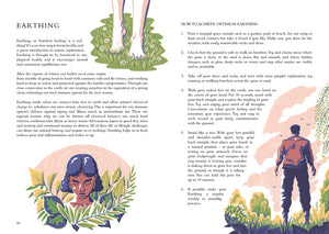 The Wild Handbook: Seasonal Activities to Help You Reconnect with Nature