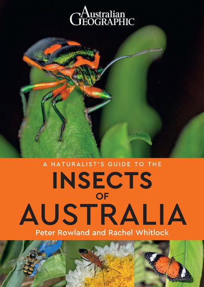 A Naturalist's Guide to Insects of Australia