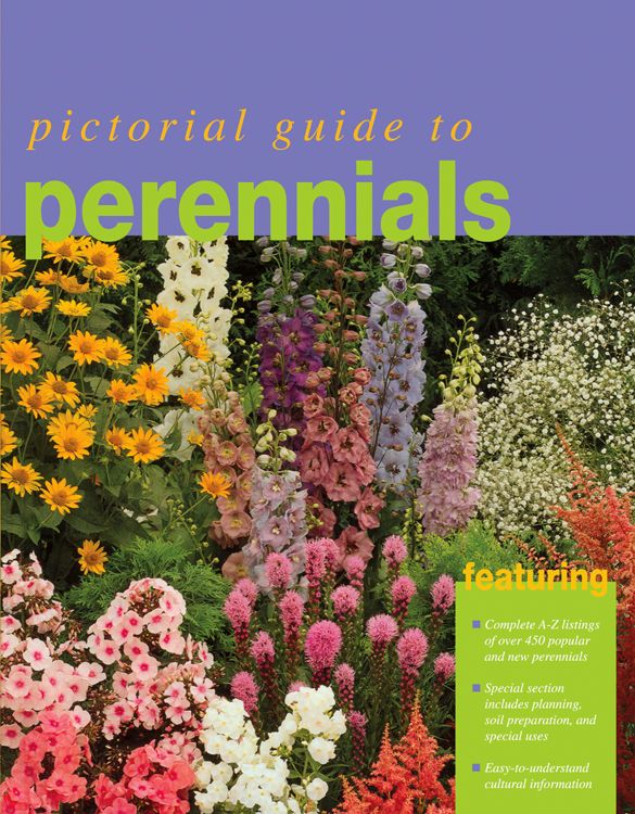 Pictorial Guide to Perennials