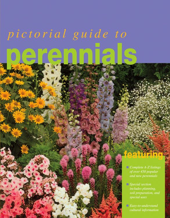 Pictorial Guide to Perennials *Very Good*