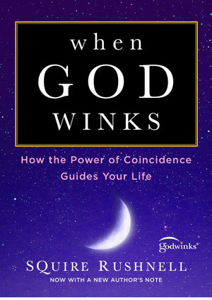 When God Winks: How the Power of Coincidence Guides Your Life (1) (The Godwink Series) *Very Good*