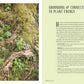 Root & Nourish: An Herbal Cookbook for Women's Wellness *Very Good*