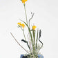 Ikebana: The Art of Arranging Flowers