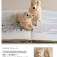 Adorable Felted Animals: 30 Easy & Incredibly Lifelike Needle Felted Pals (Gakken Handmade)